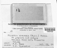 Image Associated With the Occurence